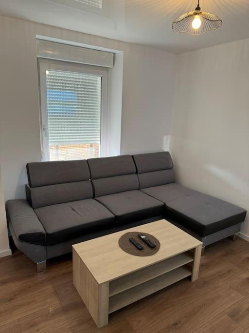 Appartement La Citadelle Belfort Eksteriør billede